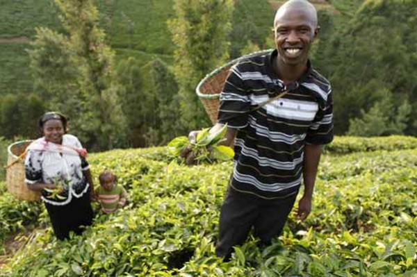 microfinance-agricole