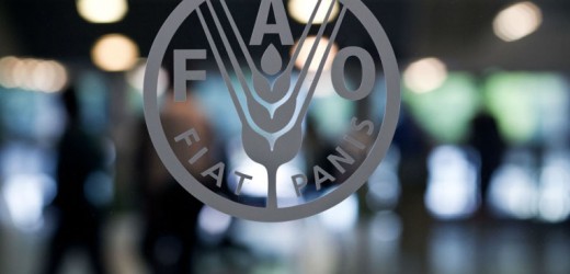 La FAO appelle à la promotion de la biodiversité