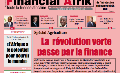 Au sommaire de Financial Afrik n°29
