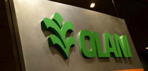 Résultat exceptionnel de OLam International pour le premier trimestre 2016