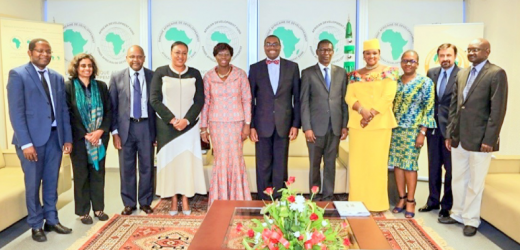 Le Président de la Banque africaine de développement reçoit pour audience la Délégation du Comité directeur