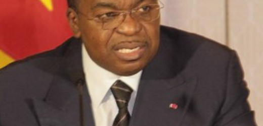 Tourisme : le Cameroun suspend un projet à 1000 milliards de FCfa avec Ruwaad Holding