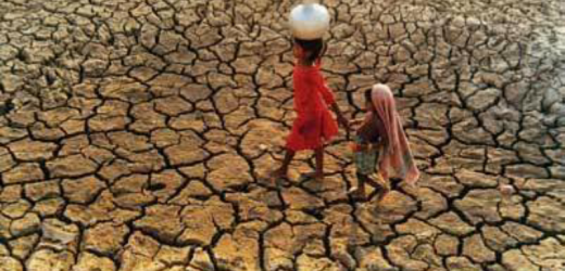 La FICR subventionne la lutte contre la famine en Afrique australe