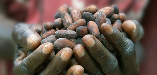 Le Fonds de Réserve Cacao en progression de 58%