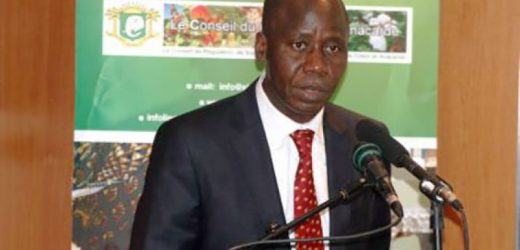 Côte d&rsquo;Ivoire: coup de tonnerre dans le secteur de l&rsquo;anacarde