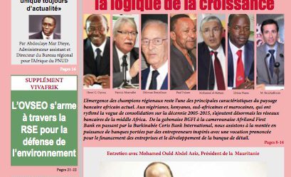 Banques africaines, la logique de la croissance contrariée 