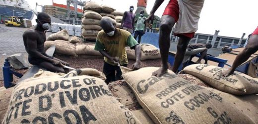 La CNUCED dévoile un vaste système de fraudes sur les exportations africaines 