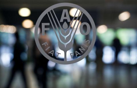 fao5