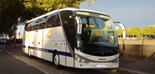 Transport urbain : le portugais Iramos Mota va investir 17 milliards de FCFA au Cameroun