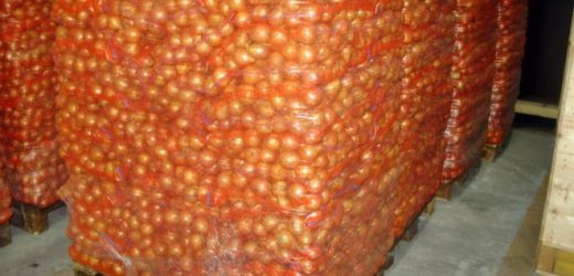 Sénégal : Reprise des importations d’oignons