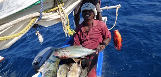 Pêche: les Îles de l&rsquo;Océan indien prennent rendez-vous avec l&rsquo;économie bleue