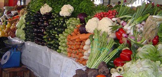 Sénégal : Les exportations des produits agricoles chiffrées à 350 milliards de F CFA
