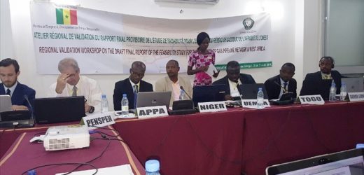 La CEDEAO vers l’extension du réseau du gazoduc de l’Afrique de l’Ouest