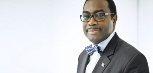 BAD: première visite du président Akinwimi Adesina au Nigeria