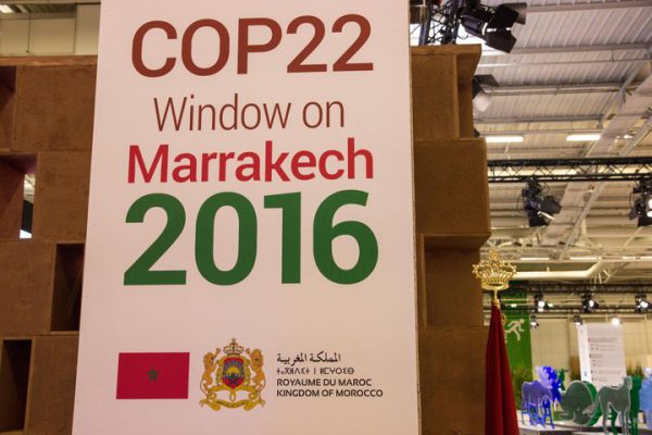 cop22