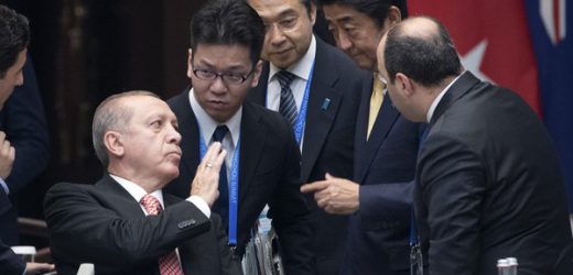 Communiqué du G20: 48 résolutions sur la croissance  solidaire et durable