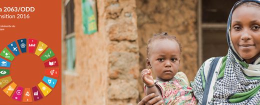 Rapport de transition OMD-ODD: l’Afrique devra compter sur des statistiques fiables et une approche intégrée des politiques