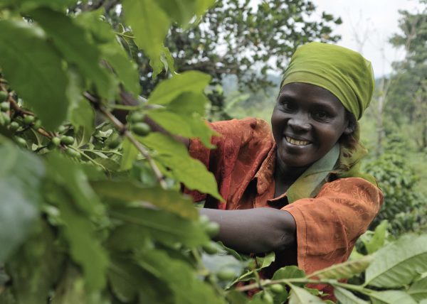 root_capital_client_in_uganda