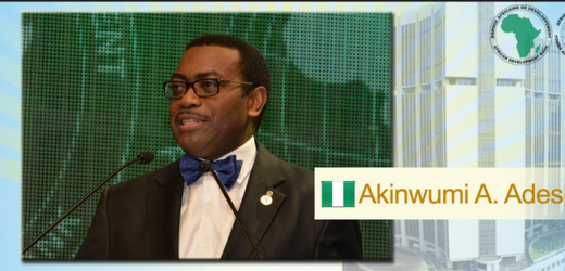 Le président Adesina : un an de mandat et déjà un programme de transformation ambitieux