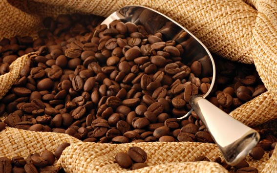 bresil-chute-production-cafe