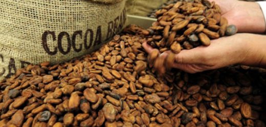 Côte d&rsquo;Ivoire: la barre des 2 millions de tonnes de cacao pulvérisée