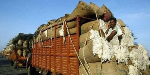 Cameroun : 7,5 milliards de F pour relancer la Sodecoton