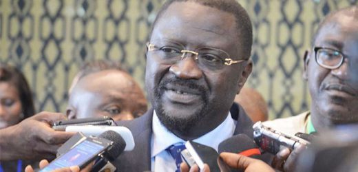 Sénégal : Bientôt une Chambre d’agriculture pour le développement rural