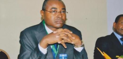 Partenariats publics-privés : Le Cameroun veut se doter d’une stratégie de développement