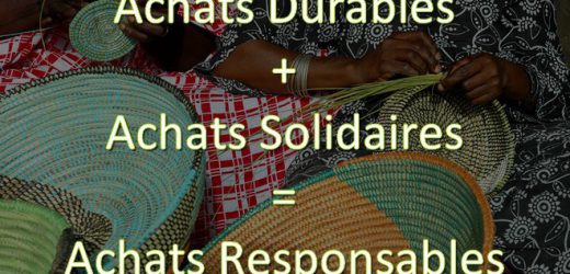 La Responsabilité Sociétale Des Entreprise (RSE) Et Les Achats Responsables