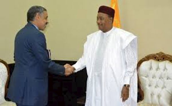 niger-badea