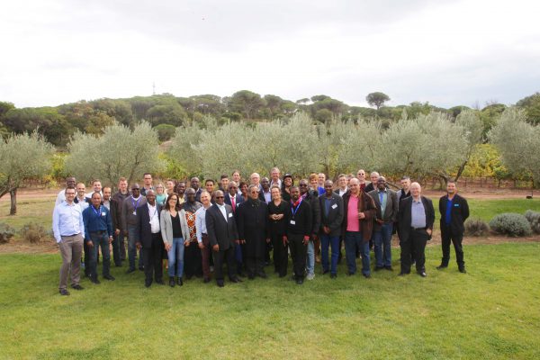 sonema-partners-group