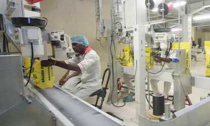 Nigéria: Flour Mills lance la construction d&rsquo;une minoterie de sorgho à  Kano