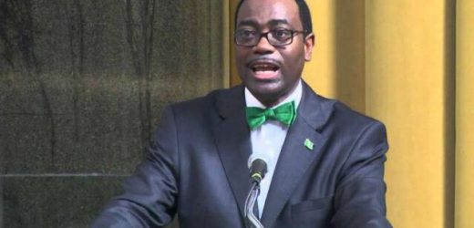Le président de la BAD reçoit son passeport africain