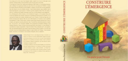 « Construire l’émergence», le nouvel ouvrage du banquier malien Cheickna Bounajim Cissé