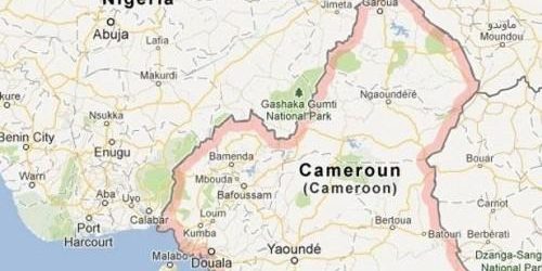 Cameroun–Nigeria : le transport routier, nouveau levier pour doper les échanges transfrontaliers