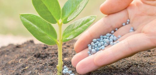Mauritanie: dans le marché des engrais, Agro China lésée au profit de l’émirati CONFID ETGI