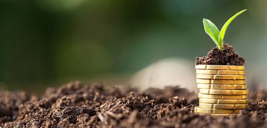 COP22 : Attijariwafa bank veut booster la Finance verte sur le continent
