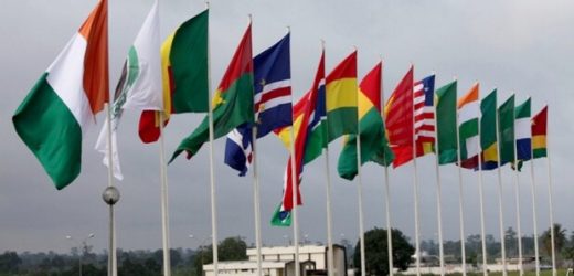 Assurance: la carte Brune CEDEAO a démarré au Sénégal