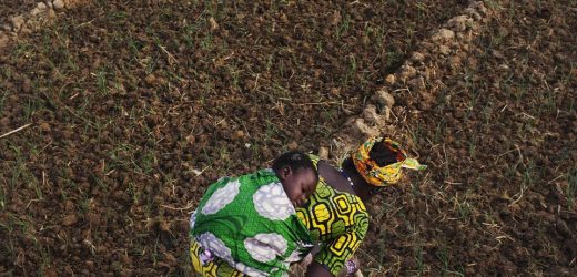 Le Mali veut renforcer la production et la commercialisation des produits locaux