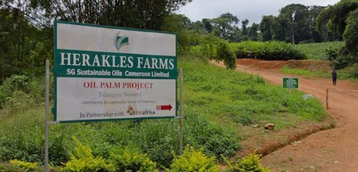 Cameroun- Les populations déposent une pétition contre l’Américain Herakles Farms