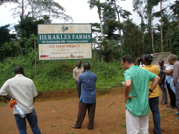 Lancée il y a quelques mois par les fermiers du sud-ouest du pays, près de la ville de Kumba, le texte a recueilli 180 000 signatures.