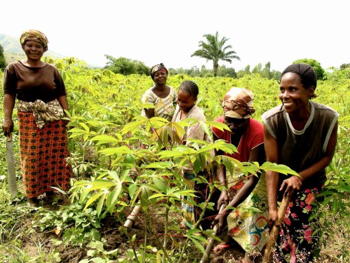 agriculture-afrique