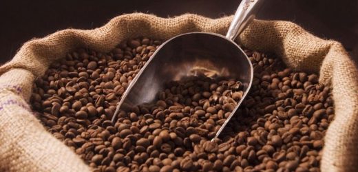 Côte d’Ivoire: le prix d’achat du café en hausse de 12%