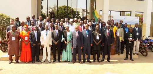 CEDEAO: les stratégies en matière d&rsquo;énergie en discussion à Conakry