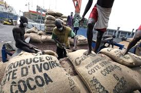 Côte d’Ivoire: réduction de la taxe à l’export au profit des industriels du café et du cacao