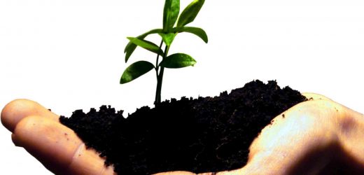 Netinvest et Attijari bank lancent un Fonds commun de placement