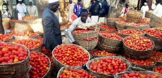 Nigéria :  L’inflation fait le bonheur des producteurs agricoles