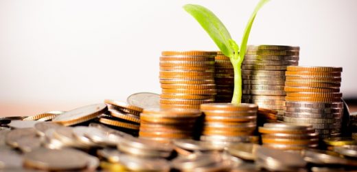 Le Nigeria va émettre des obligations vertes