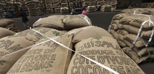 La Côte d’Ivoire peine à exporter son cacao