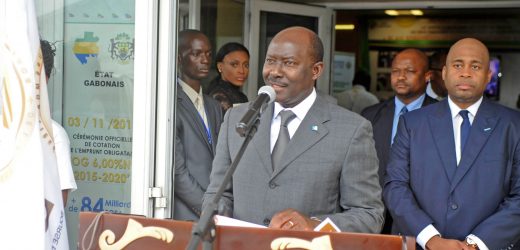 La Bourse des valeurs mobilières d&rsquo;Afrique Centrale cherche un directeur